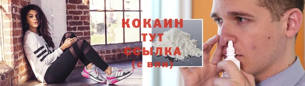 герыч Тайга